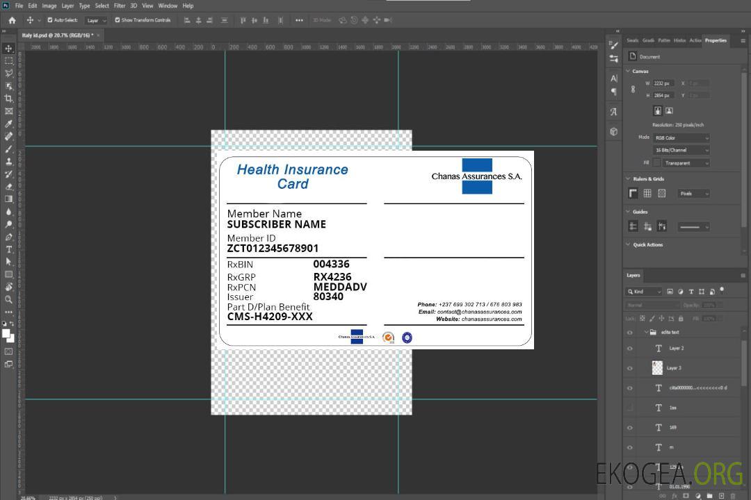 Carte d'assurance maladie du Cameroun template